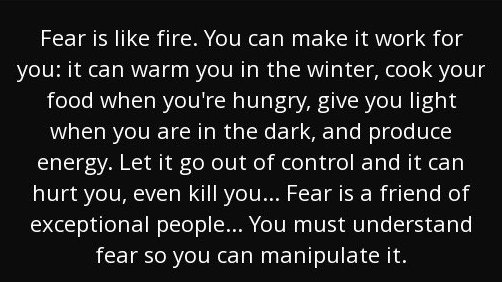 Rhizome (@the_rhizome_com) on Twitter photo 