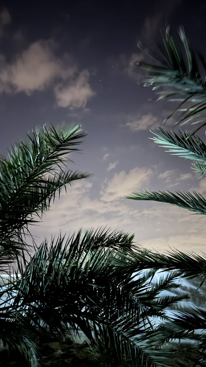 سارَّة (@lsara_111) on Twitter photo 