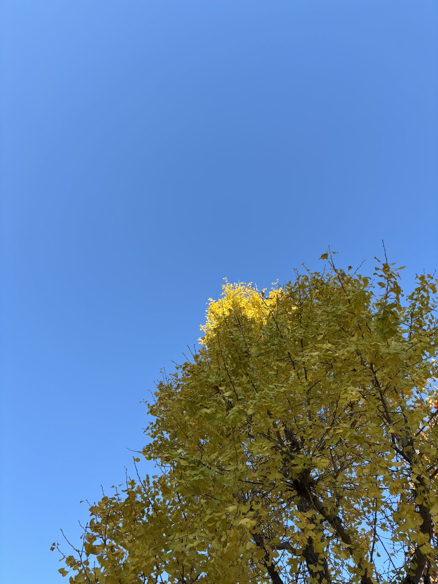 kaigoshitasuke's tweet photo. おはようございます。
遅番行ってきまーす！

最近はスタッフの体調不良などで、急に夜勤に入ったり、バタバタで身体のリズムが狂いがちです💦

身体が資本！
よく寝てよく食べる。

今日もボチボチ。

#介護職 https://t.co/AGRquc3dGR