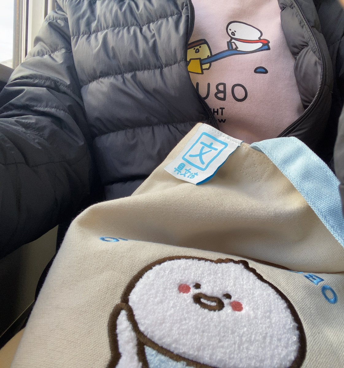 ハオ様 (@CYBlobObjUfPs1z) / Posts / X