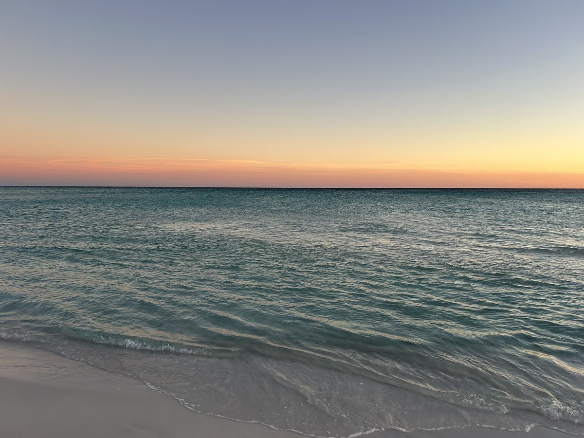 Andrew Selover tweet media