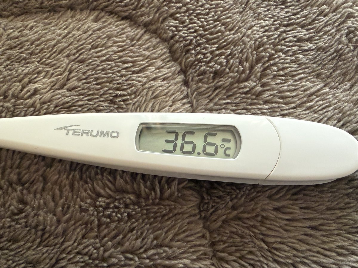 セデス飲んだら急に平熱になった