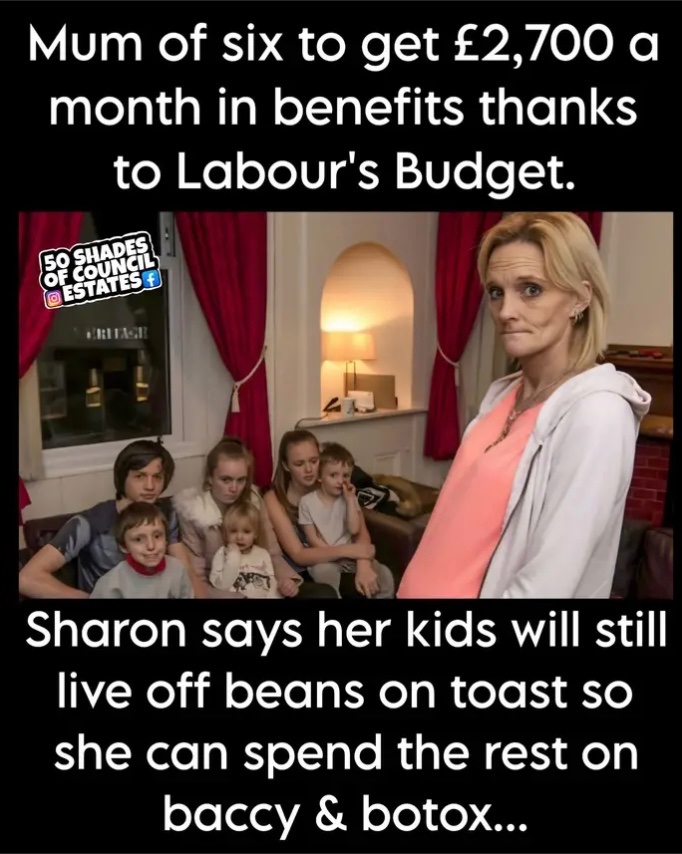 prawnbound's tweet image. #Budget #RachelReeves #LabourLies
