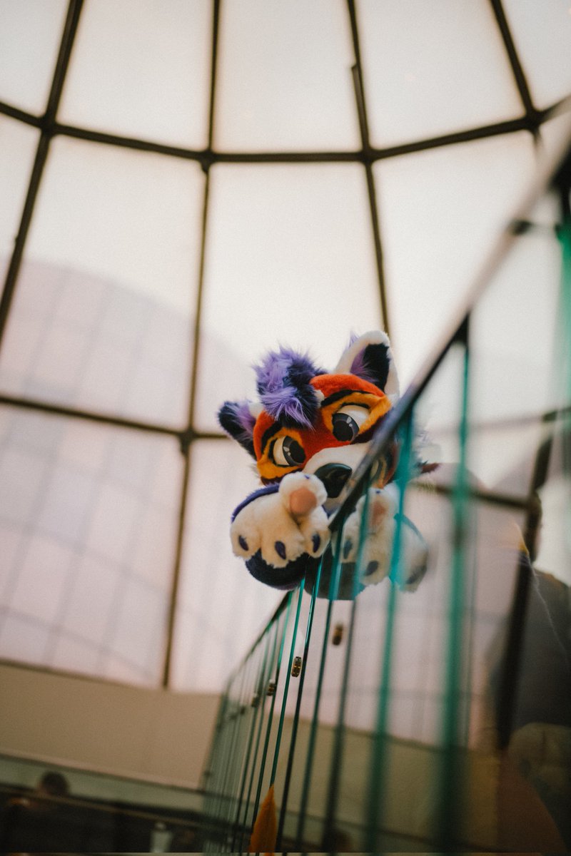 Archer Wah 🔜 Furlingame tweet media