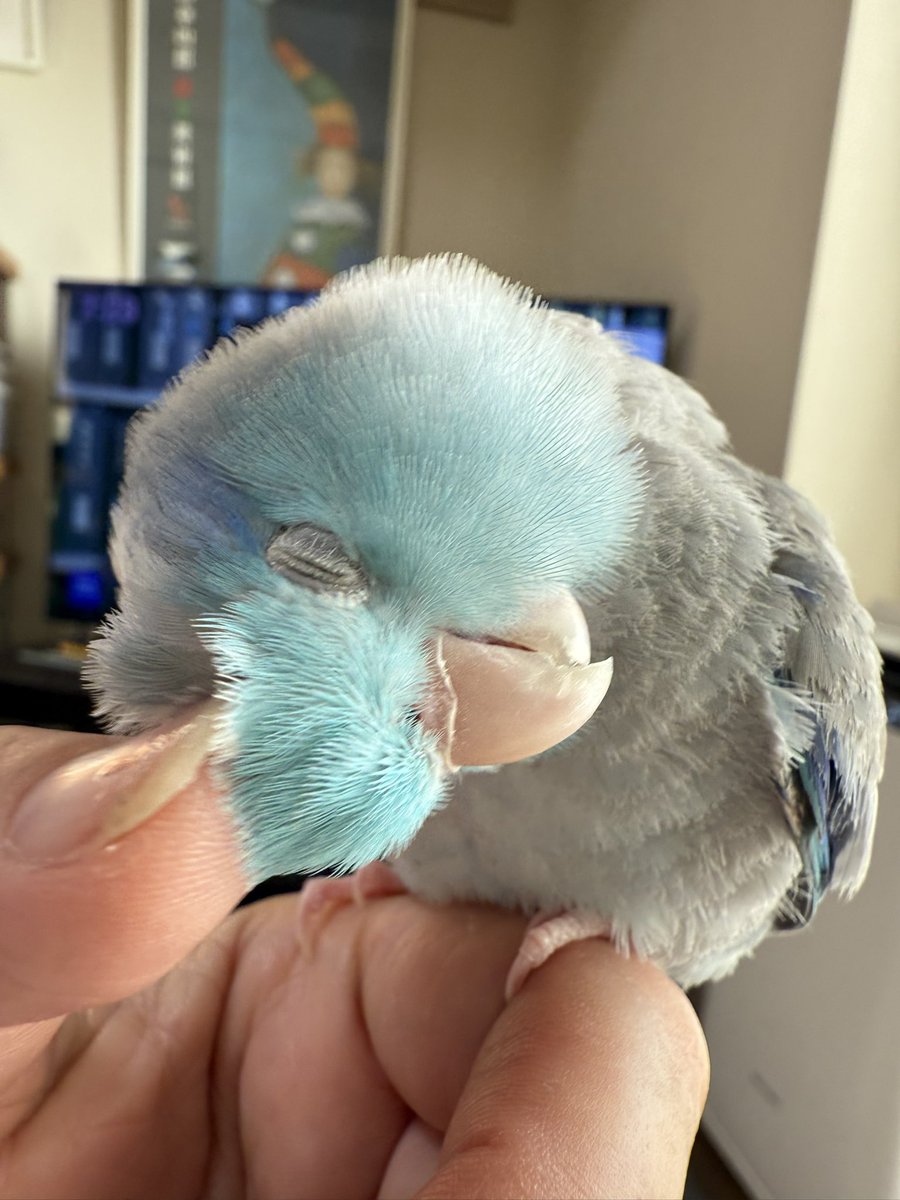 mami sano (@mami1129mauloa) / Posts / X