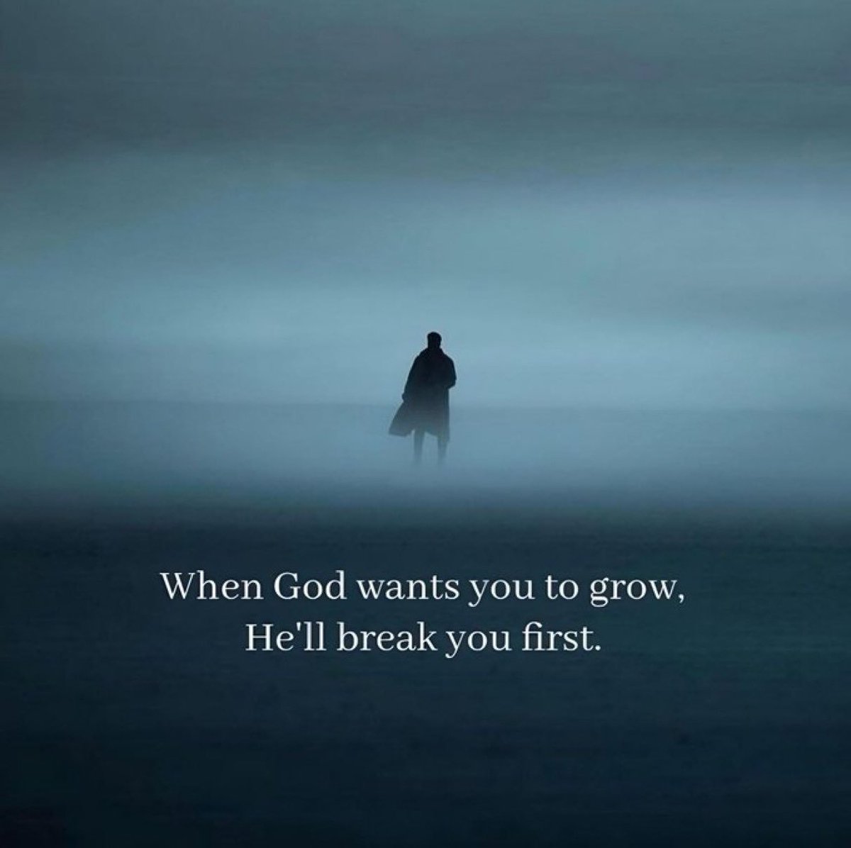 Mindful Maven tweet media