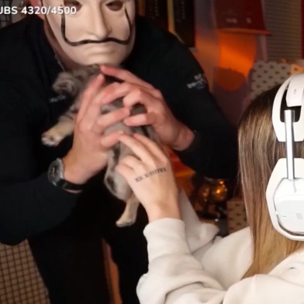 Tenemos nueva integrante, nuestro prota tiene a su niña 🫶🏼