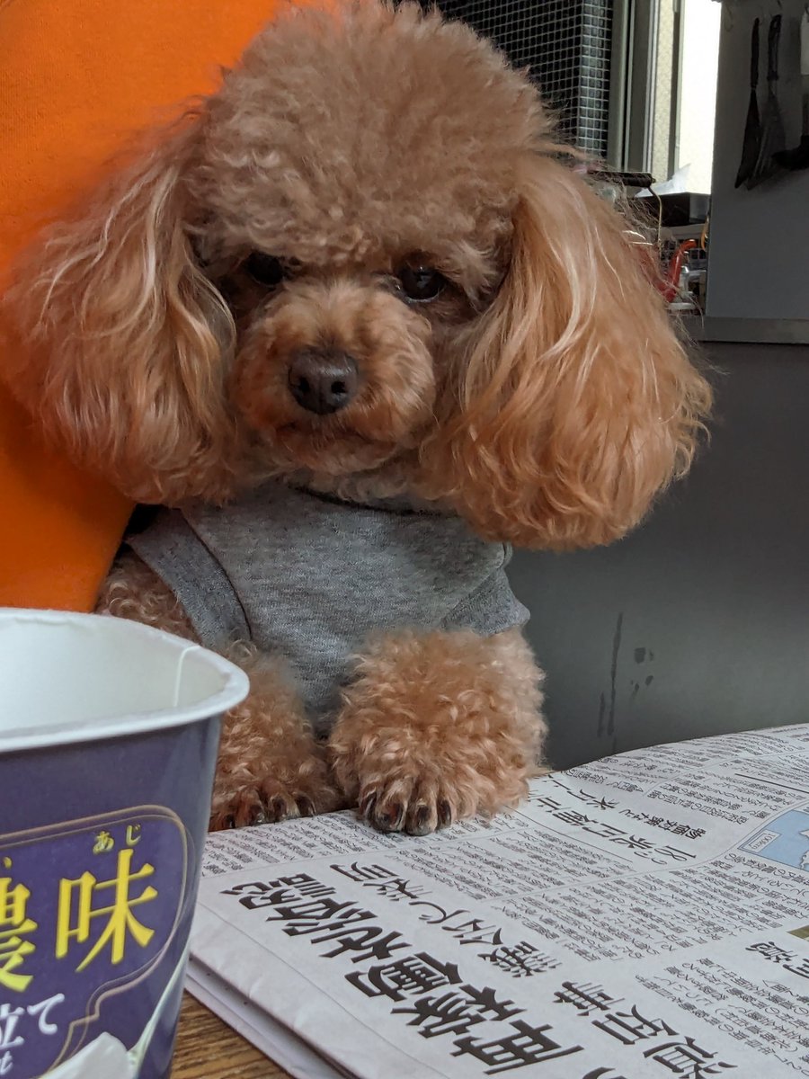 名無し三等兵🐧🍊™️ (@3rdClass774) / Posts / X