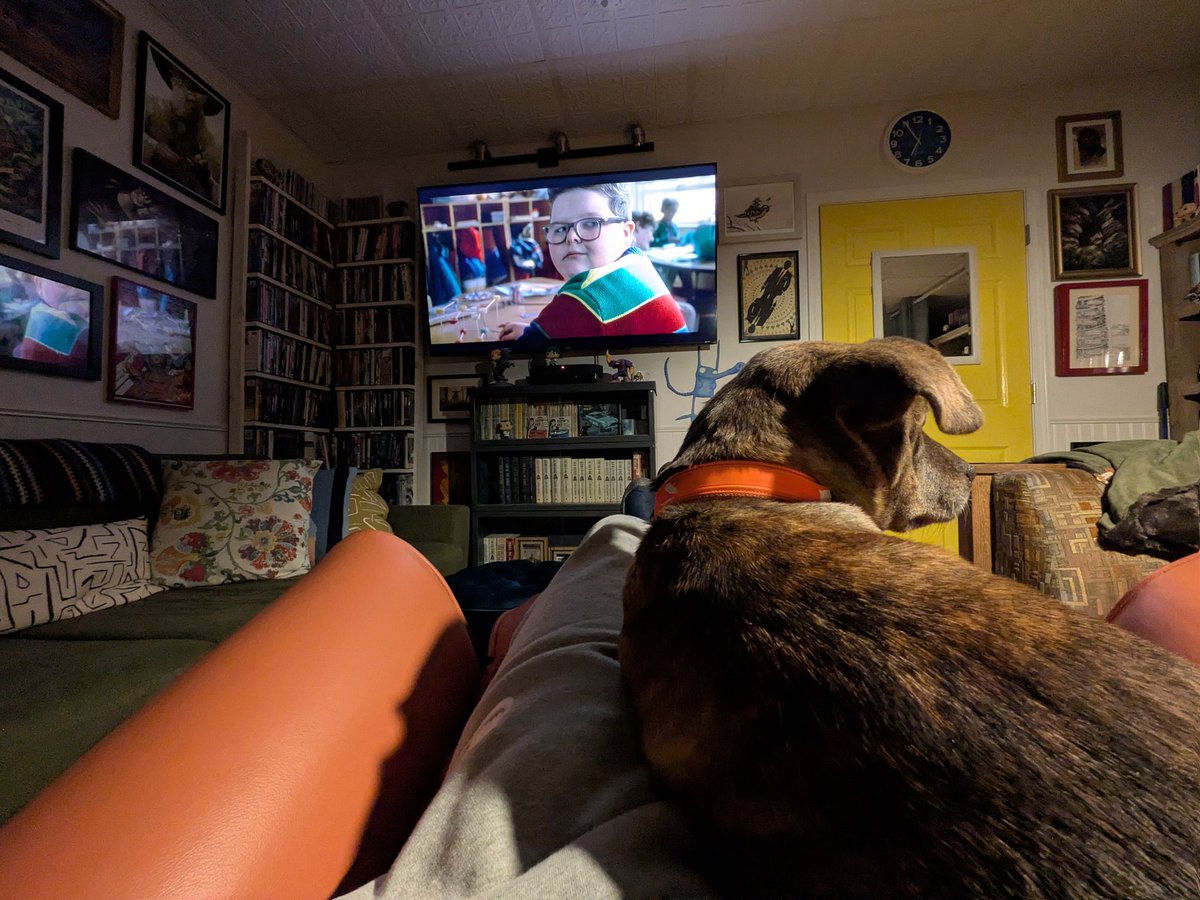 Molly can't look. It's too scary.