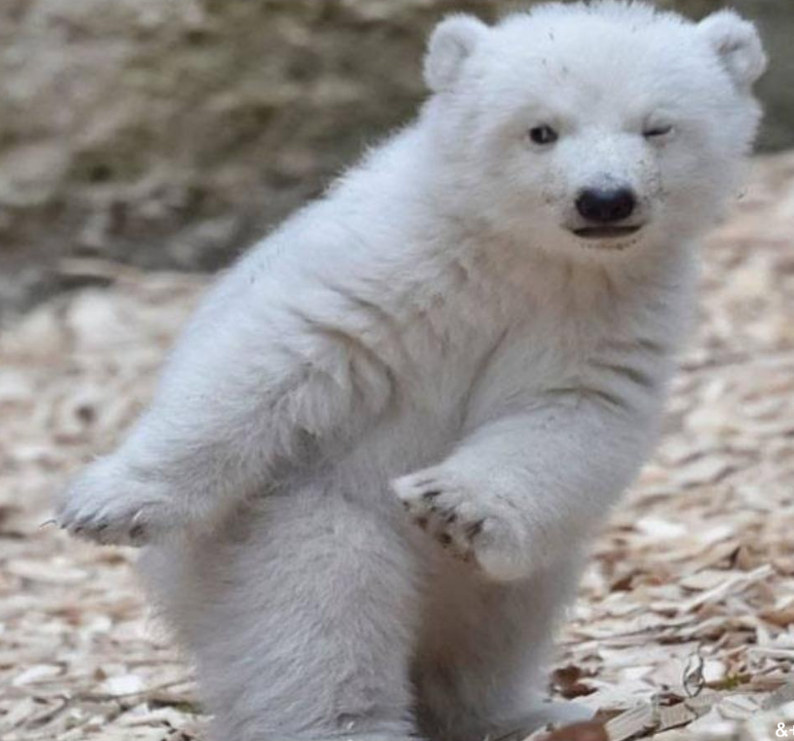 River 투명성에 박수를 보내고 싶다.

<a href="/RiverdotInc/">River</a> <a href="/River4fun/">River4FUN 🐝</a> 

River 프로젝트팀이, 11월 28일 트위터에 글을 하나 올립니다.

저희는 지난 24시간동안, 리버를 지지해주는 홀더들에게 심도깊은 피드백을 받는 시간을 가졌습니다.

거버넌스 투표권을 가진 지지자들은 리버 프로젝트가 앞으로