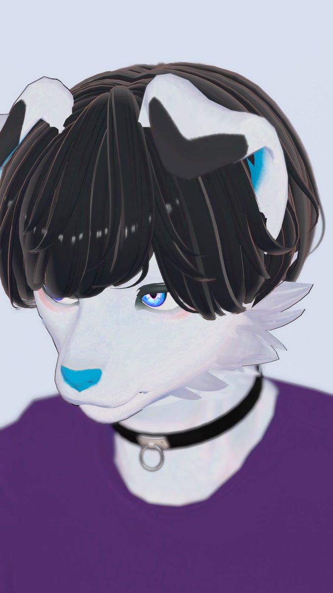 愛犬💎🐾 (@aiken912) / Posts / X