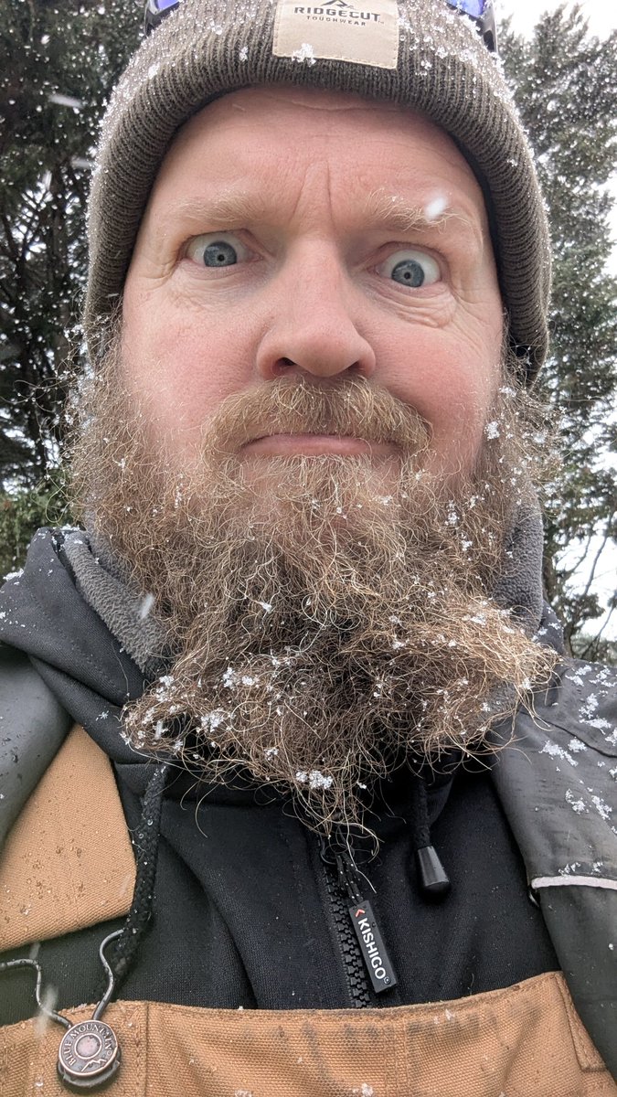 BeardedDadBod82 tweet media