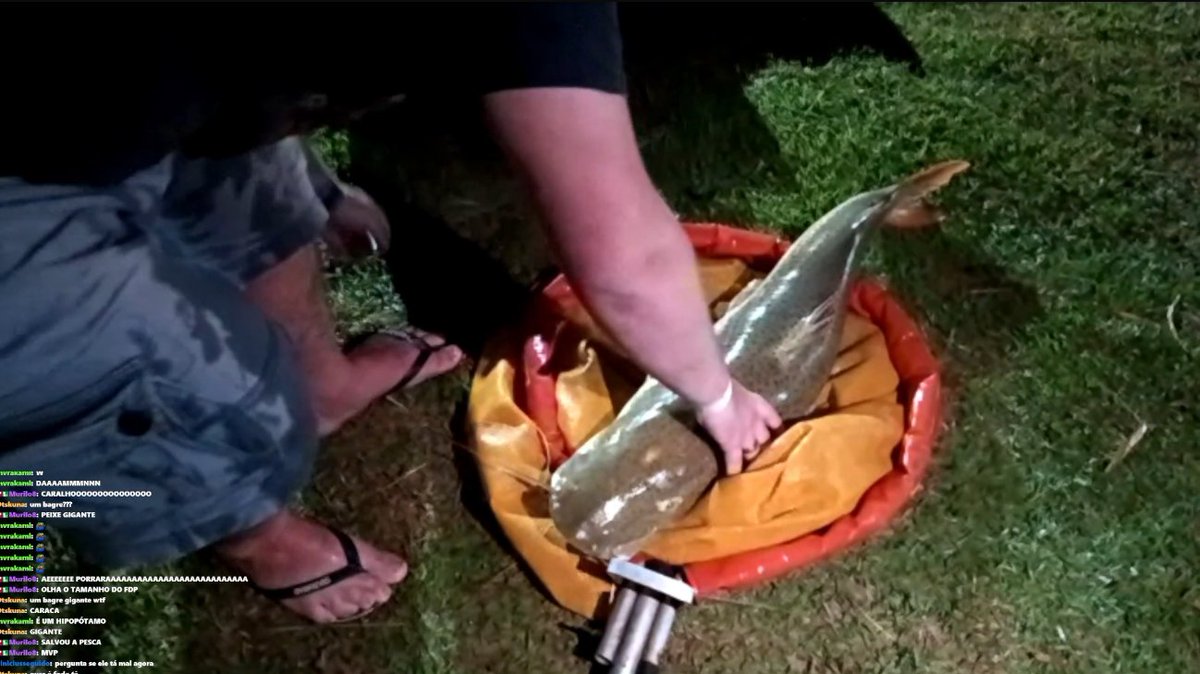 XxNoisnafitaxX's tweet image. O OVER ACABOU DE PEGAR UM PEIXE BIZONHO WTFF
KKKKKKKKKKKKKKKKKKKKKKKKKKKKKKKKKKKKK

#DistopiaEmSP
kick.com/distopiapdc