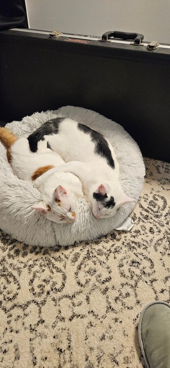 Sway @ DIY (@okaysway) on Twitter photo 