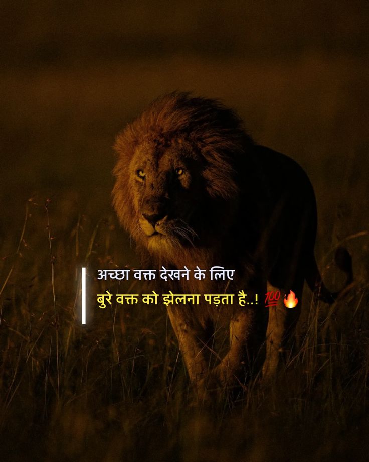 Ladka__bawaal's tweet photo. अच्छा वक्त देखने के लिए ,
बुरे वक्त को झेलना पड़ता है.... https://t.co/SzBZ29Eo2C