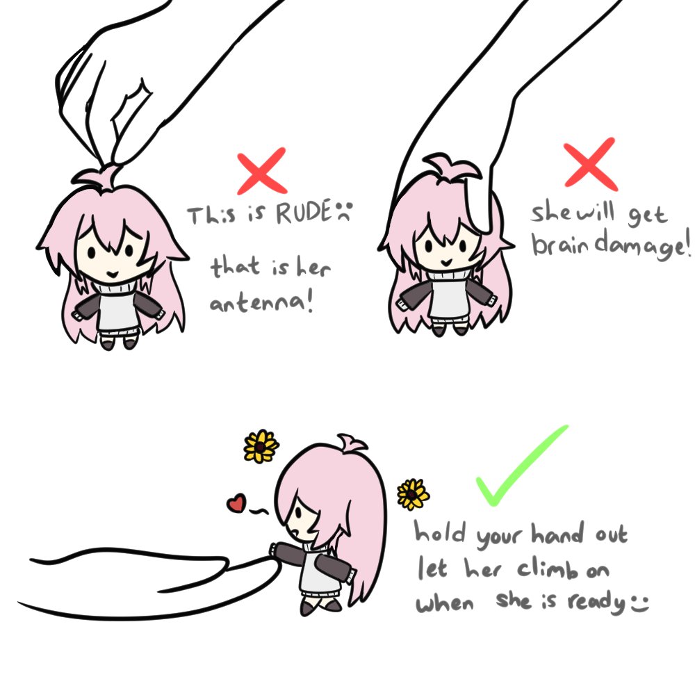 DharcArts's tweet image. How to properly hold a Shachi #shachimu