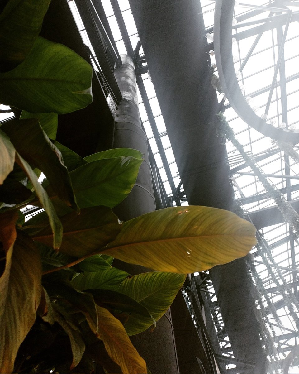 Valentina Flavia Curosu (@curosu_flavia) on Twitter photo 