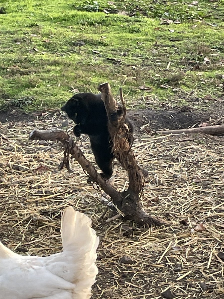 She identifies as a beaver 🤭