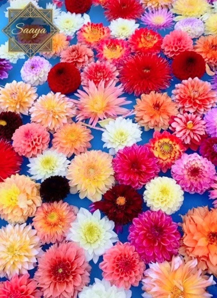 花❁ Flowers Community on X - 139.5K Members