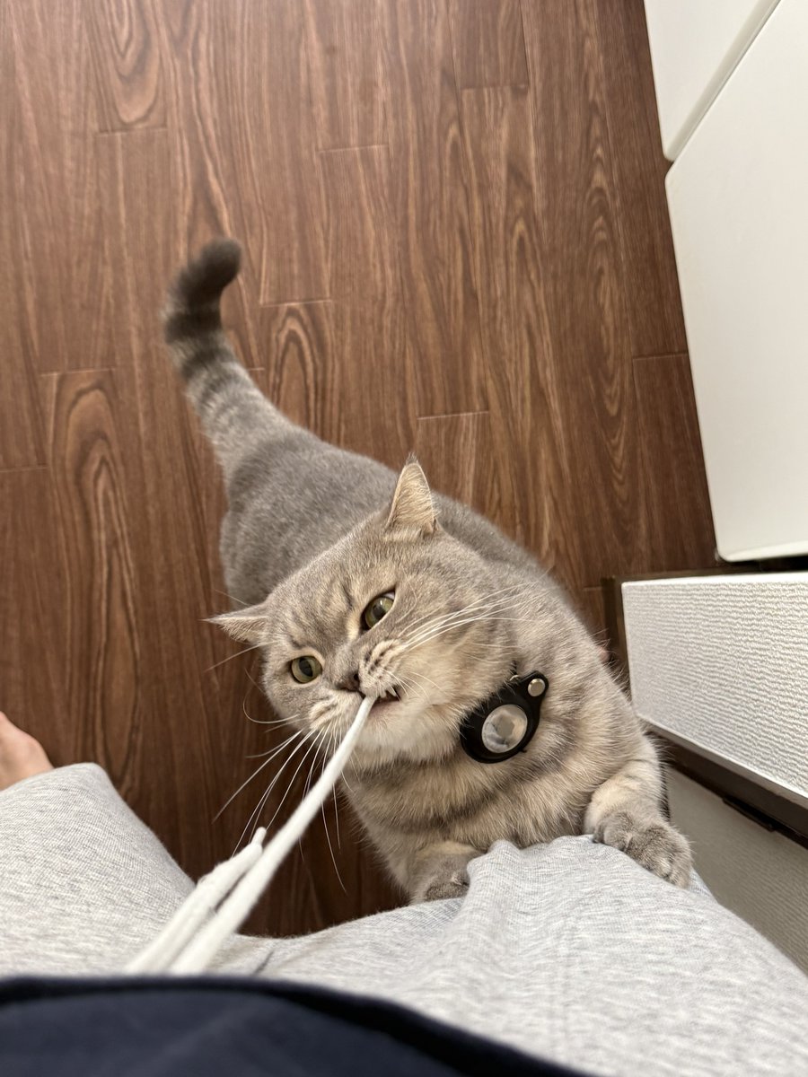 いわし先生 (@IWASHI_0723) / Posts / X