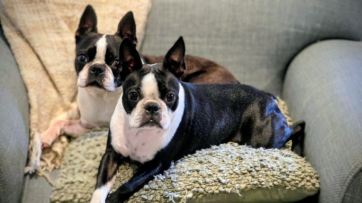 Už sme to zasa my. Rodené koaly. 😍🐨🐾