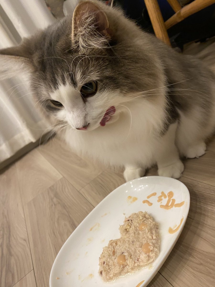 Uki_ymmd's tweet photo. 11/28
おかきおたおめ🎂
3歳になりました🐣 https://t.co/c3DmMZybQf