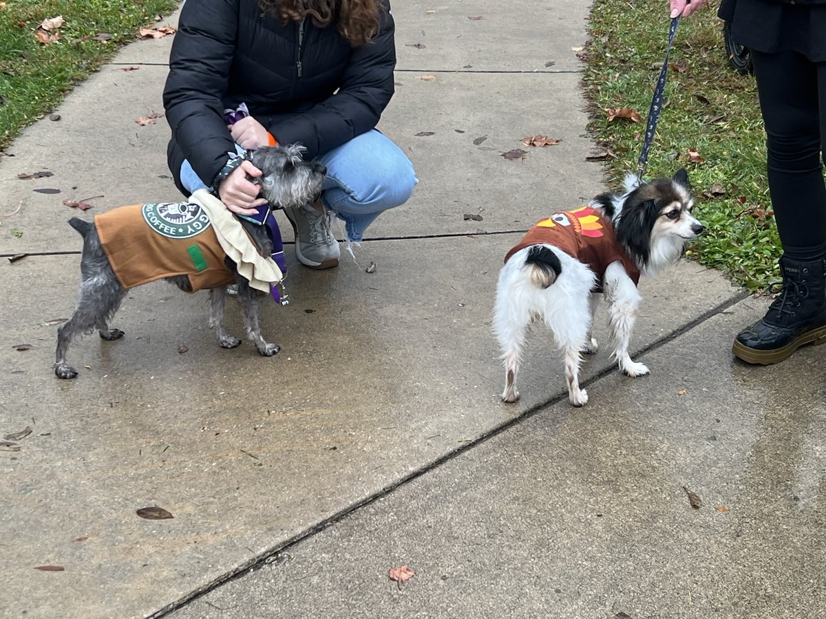 KerryVogel89's tweet photo. We did a Turkey Trot! Normally I’m not one for walking, running, distances, or excersise of any kind outdoors on a cold day but this was a 1 mile hike on a beautiful trail and it was dog friendly! Also included apple cider, bundt cakes, photo ops, and a costume contest (we won)! https://t.co/6N1Qprq0pO