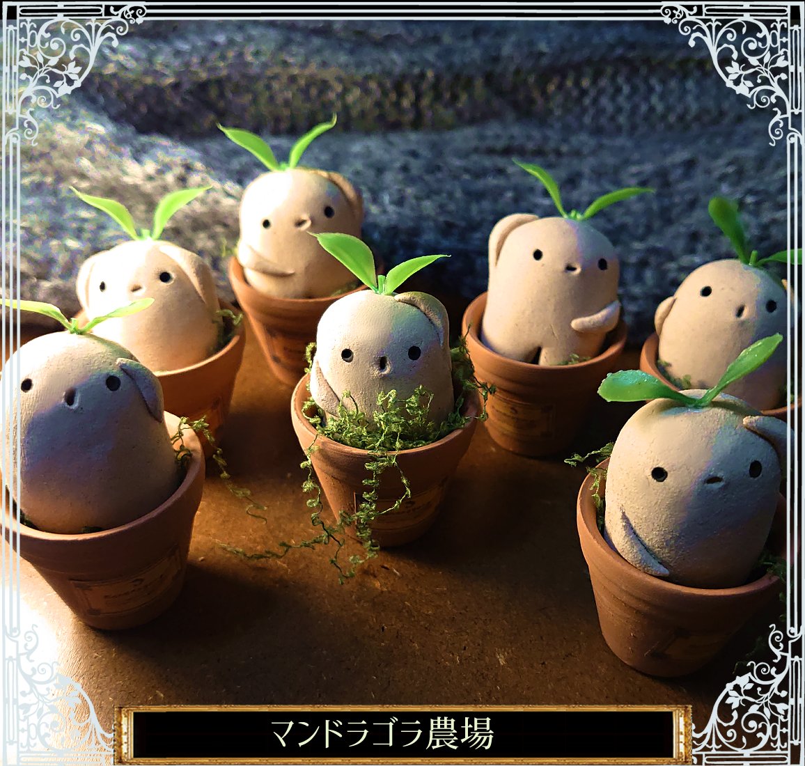 マンドラゴラ農場🌱 (@tidoriasshi) / Posts / X