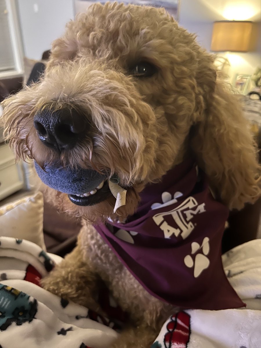 ICS_SCADA's tweet image. He’s ready for the rivalry game! 🚀

#Texas #Aggieland #Rivalry #CFB #HookEm