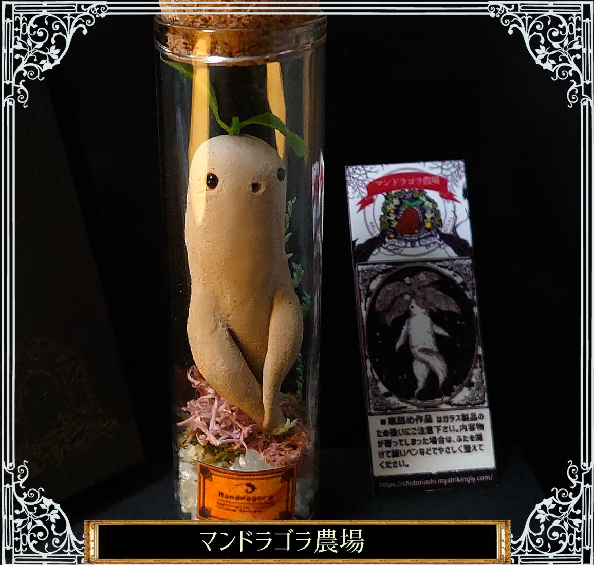 マンドラゴラ農場🌱 (@tidoriasshi) / Posts / X