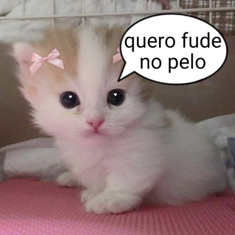 goandy__'s tweet image. !!!