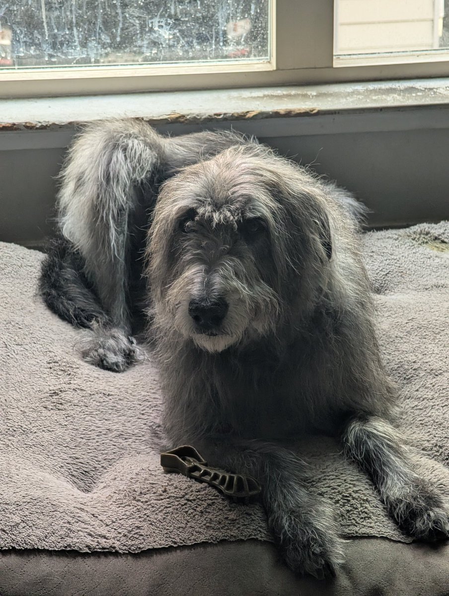 Matthew Riley tweet media