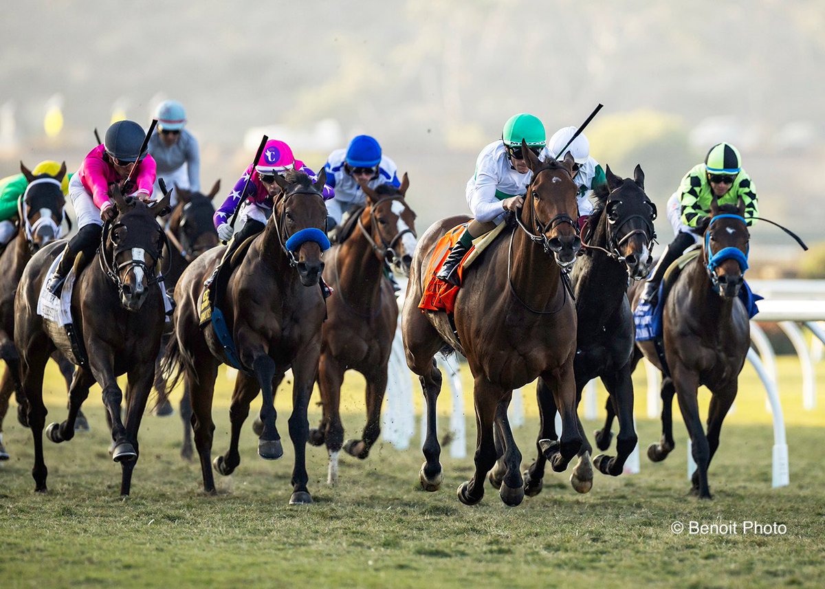 Benoit Photo tweet media