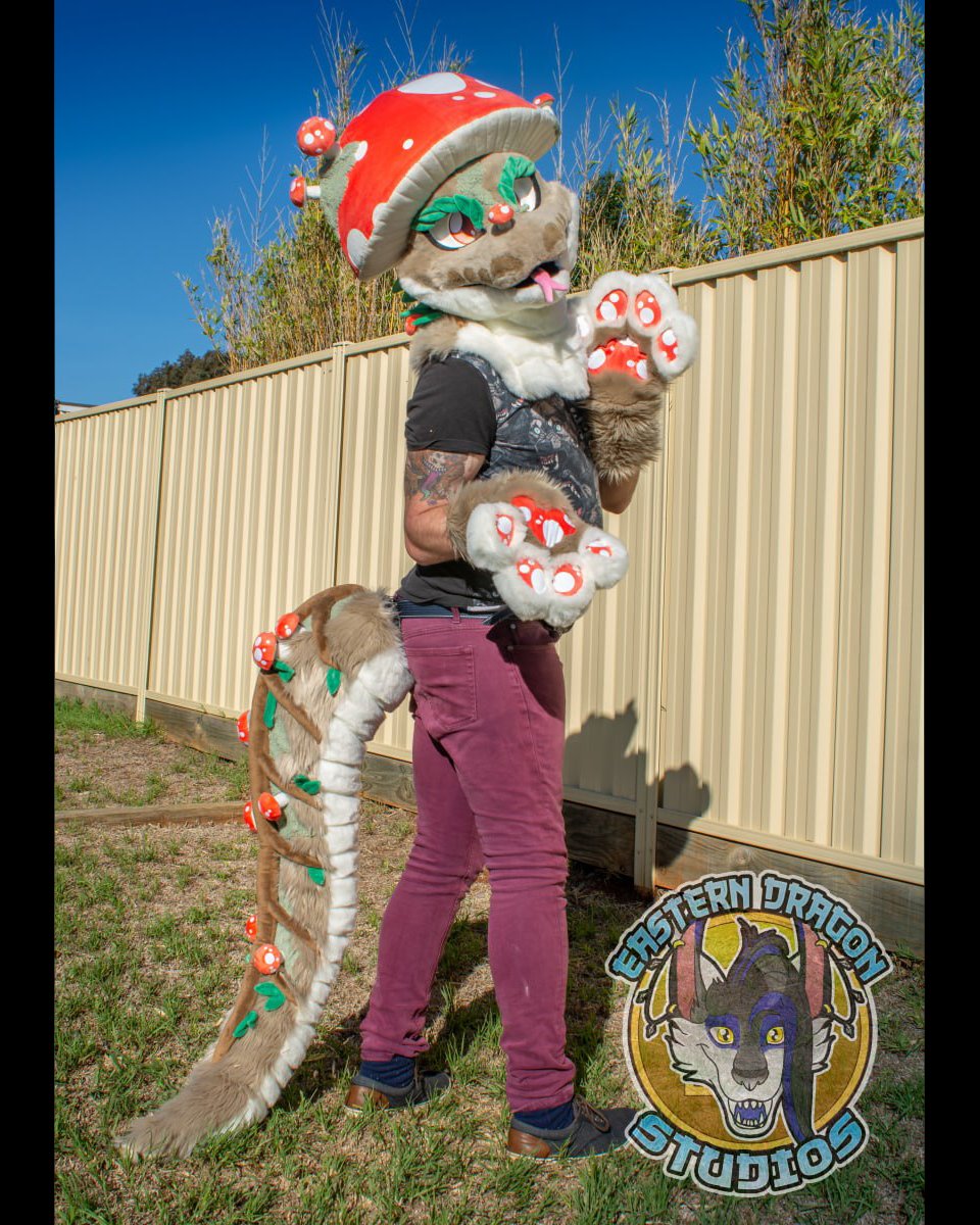 SNAP THIS BEAN UP

BLACK FRIDAY SALE AU$7000 (WAS AU$8500)

So many unique features on this fursuit! Thread sculpted textured fabric to mimic moss. Many magnetic details and a gorgeous mushroom hat! Full details and more photos here: easterndragonstudios.com/artistic-freed…