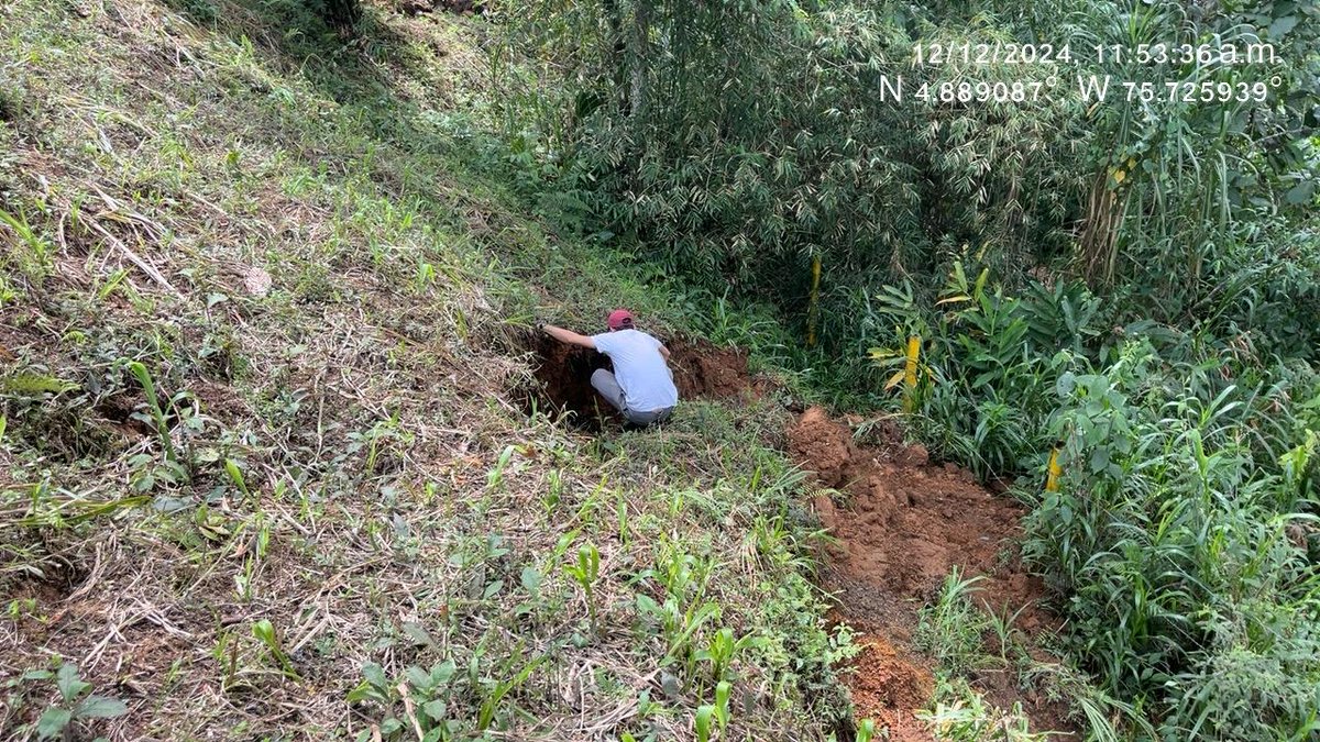 sinderrumbe's tweet photo. Los mov en masa se estabilizan de abajo pa' arriba: drenando, confinando y reforzando el terreno con bioestructuras de empotramiento profundo y vegetación protectora y reguladora. 

Avance en el trabajo de ECO RRD Y SbN en La Nona, financia @CarderRisaralda https://t.co/9civtPV2Vz