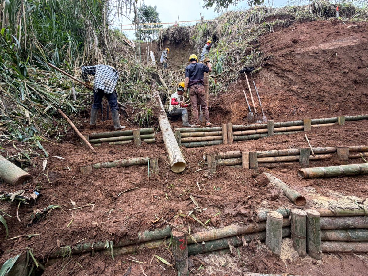 sinderrumbe's tweet photo. Los mov en masa se estabilizan de abajo pa' arriba: drenando, confinando y reforzando el terreno con bioestructuras de empotramiento profundo y vegetación protectora y reguladora. 

Avance en el trabajo de ECO RRD Y SbN en La Nona, financia @CarderRisaralda https://t.co/9civtPV2Vz
