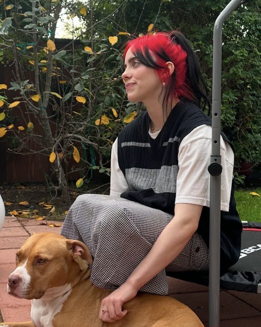 billie archive (@archivesbe) on Twitter photo 