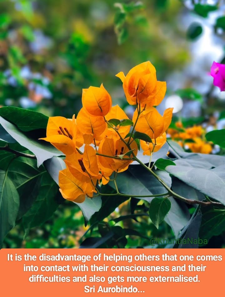 It is the disadvantage of helping others that one comes into contact with their consciousness and their difficulties and also gets more externalised.

Sri Aurobindo...
Letters on Yoga - IV

#SriAurobindo
#TheMother
#Consciousness