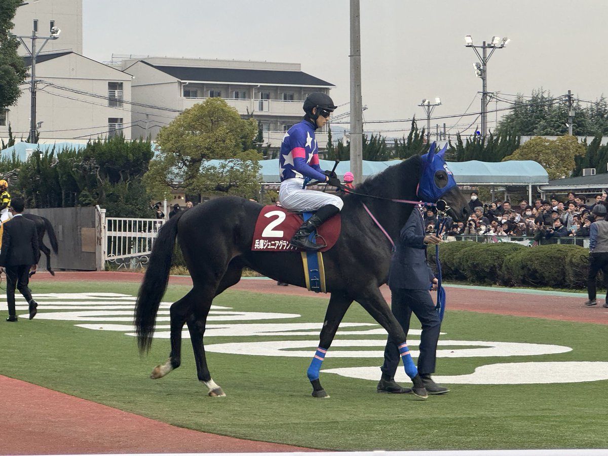 #兵庫ジュニアグランプリ #園田競馬場 
#ゴッドバロック 
#初遠征　#良く頑張った