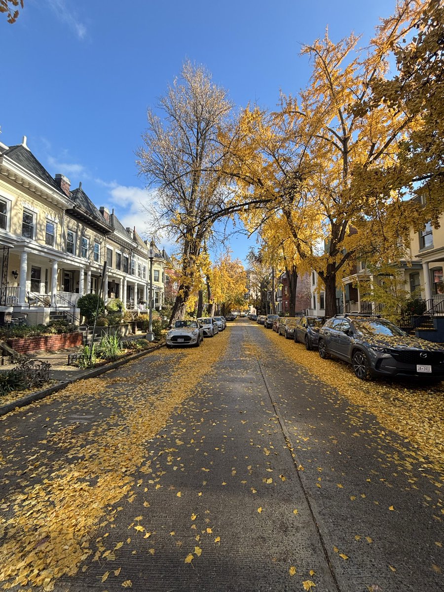 Josh Dawsey tweet media