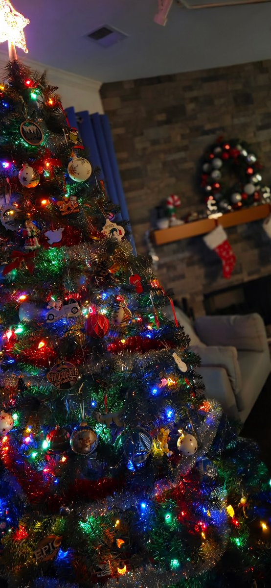 Got the Christmas decorations up! 🎄🎄🎄