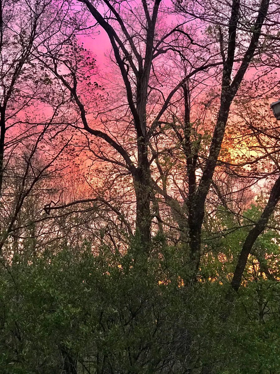 Captured 2019...no editing. Beauty is in the eye of the beholder✨️🌅🫶🏻🕊❤️‍🔥