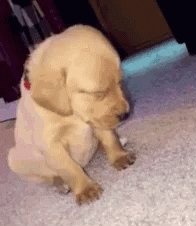 seu Zé ficou a consulta inteira falando q eu tenho q cuidar da cabeça, ir no moço de branco e ver o que eu quero da vida e eu assim