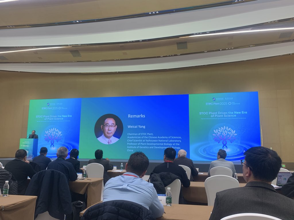 Ale_Raza6's tweet image. #Day2 of STOC Plant 2025 is kicking off with remarks from Prof. Hongwei Guo and Prof. Weicai Yang, the chairmen of the Plant #Spatiotemporal Omics Consortium 🧬 🌿

#STOCPlant2025 #spatiotemporalOmics #omics #plantscience