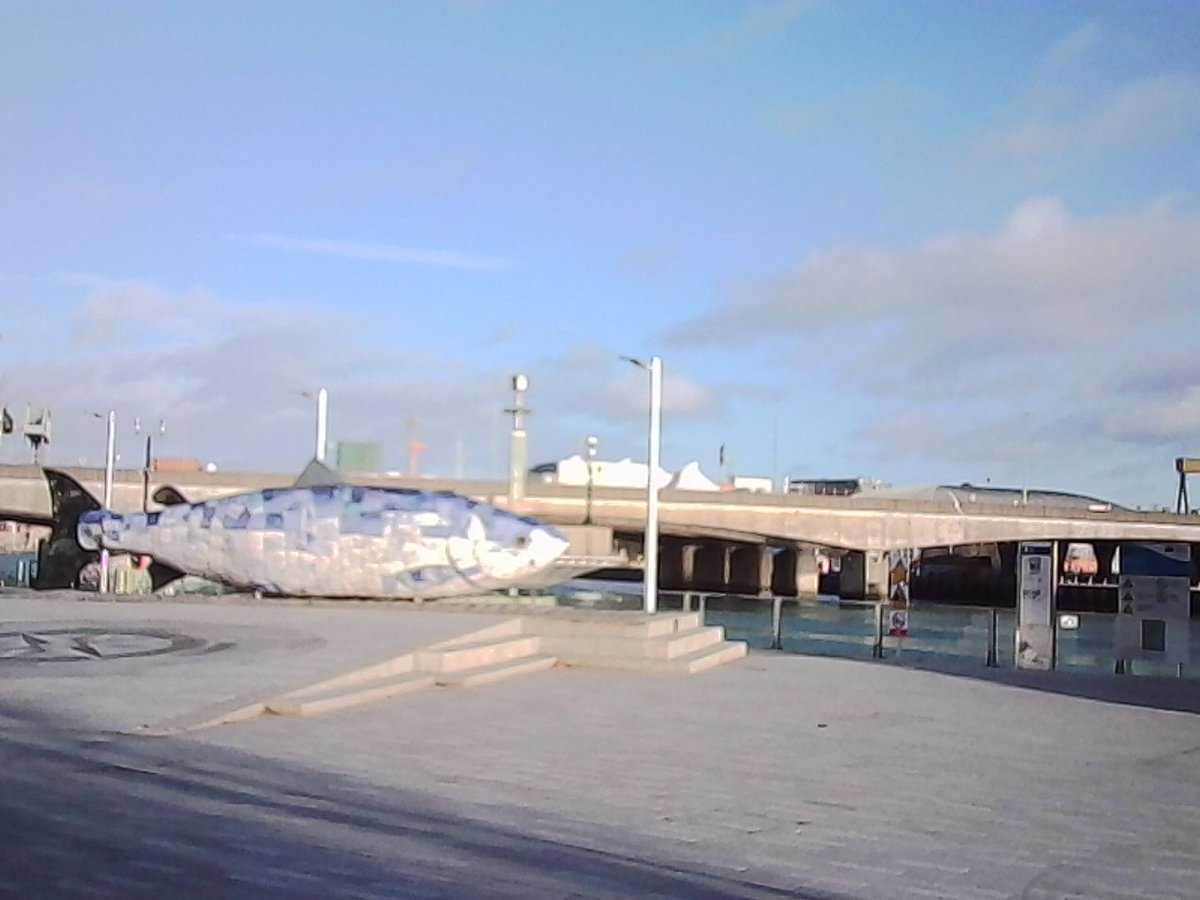 AbstractChey's tweet image. Finally got my micro camera!