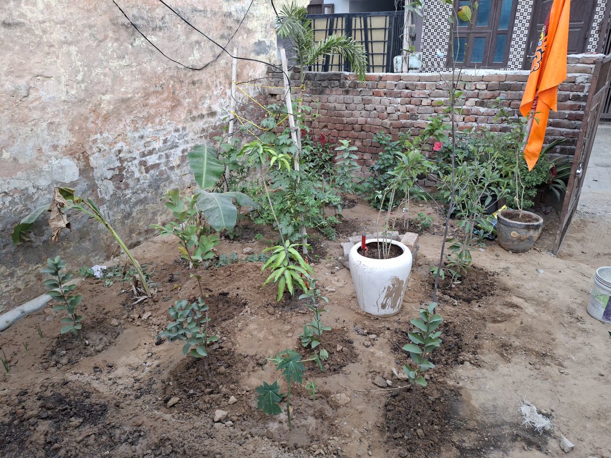 दस बाई दस एक कमरे का किराया नहीं मिलेगा मगर अगले दो से तीन साल के भीतर एक मिनी जंगल तैयार घर के अंदर बीस से ज्यादा वृक्ष डेढ़ फूट के अंतराल पर लगाए आप भी ट्राई करे घर को मंदिर बनाए <a href="/bhadana/">Jitte</a> <a href="/SaveAravali/">SAVE ARAVALI TRUST ®</a> <a href="/nitin_gadkari/">Nitin Gadkari</a> नींबू आम पपीता अमरूद केला कटहल फूल चीकू सब हम प्रकृति से हे