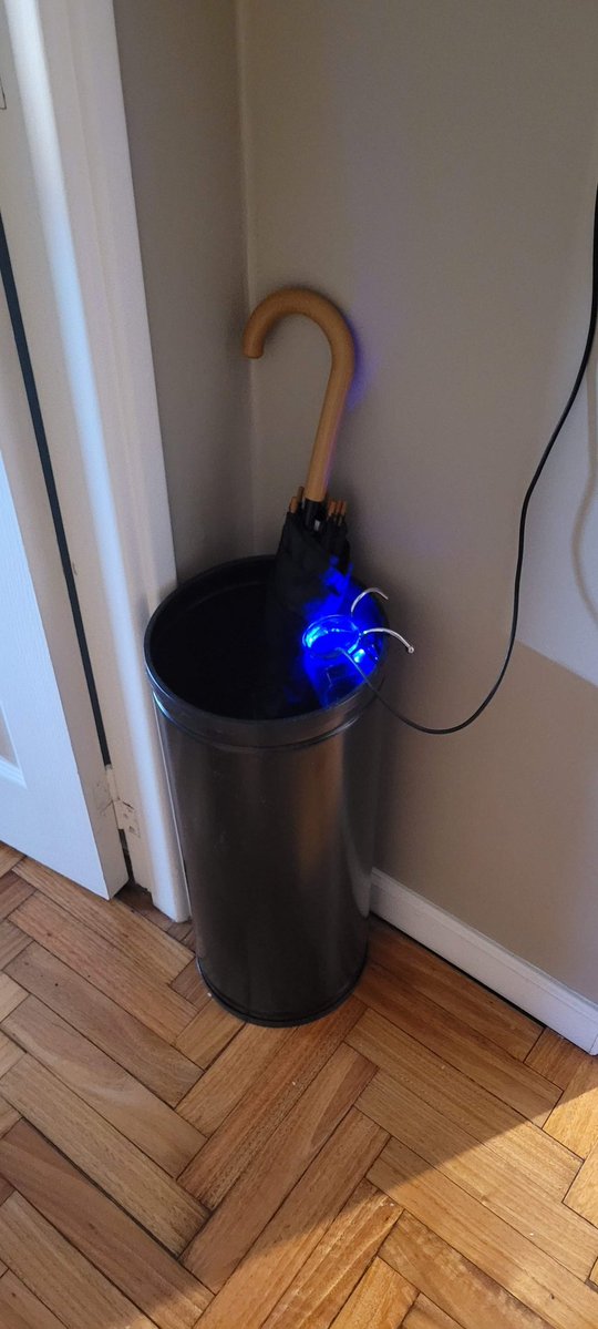 pato_pitaluga's tweet image. Me, an intellectual