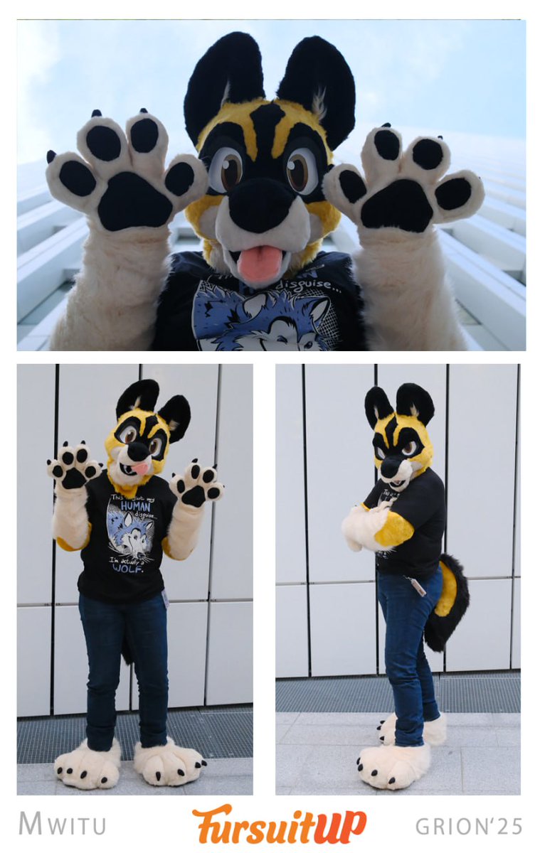 Grion_FursuitUP's tweet photo. Happy #FursuitFriday with one of my newest creations. 

Meet with Mwitu. 
African wild dog+wolf mix big partial fusuit. He got his suit from me at FBL. 

Thanks for these really really great photos for @Collie_Baguette ❤️✨
My only fursuit account; @FursuitUp https://t.co/z9cgls1v6v
