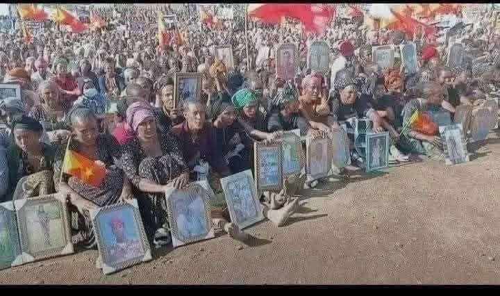 The tplf legacy🤧