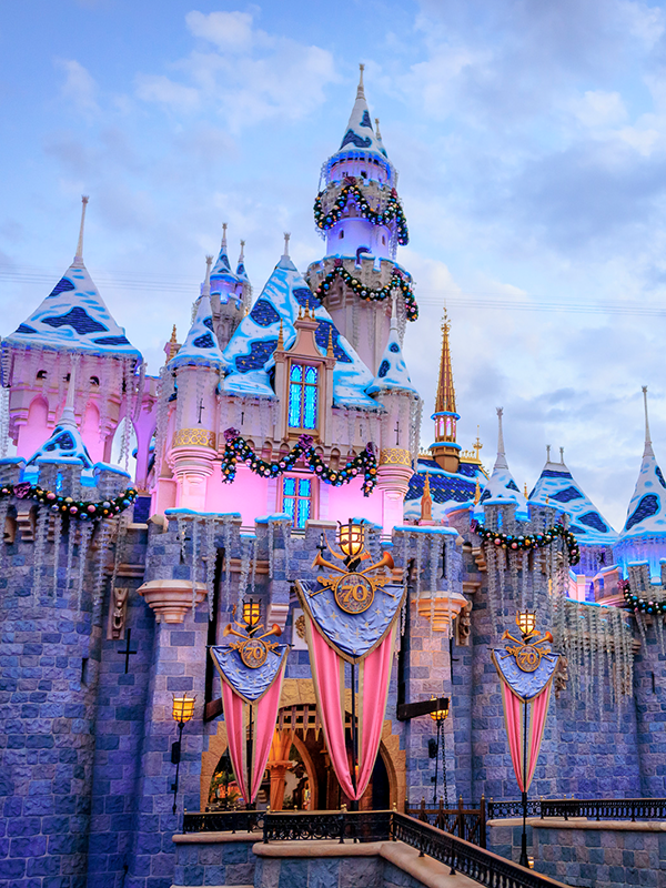 眠れる森の美女　カルフォルニア　ディズニー　70周年　ディズニーストア 眠れる森の美女 カルフォルニア ディズニー 70周年 ディズニーストア